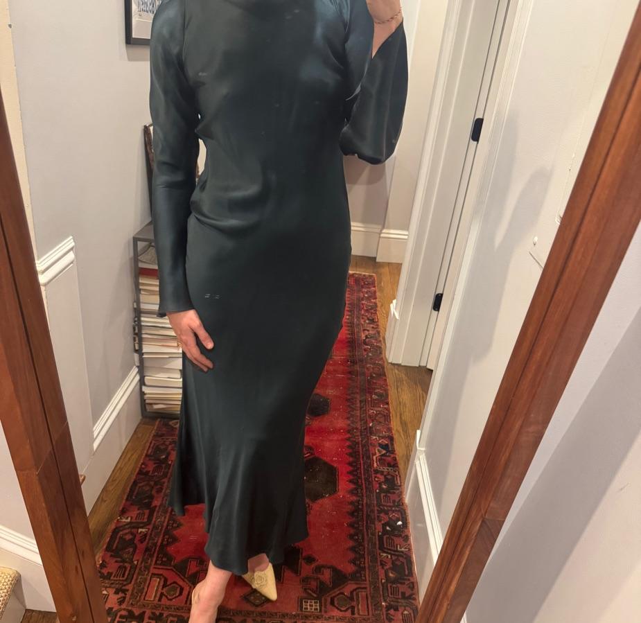 Stone cold fox silk dress — photo 2 of 4