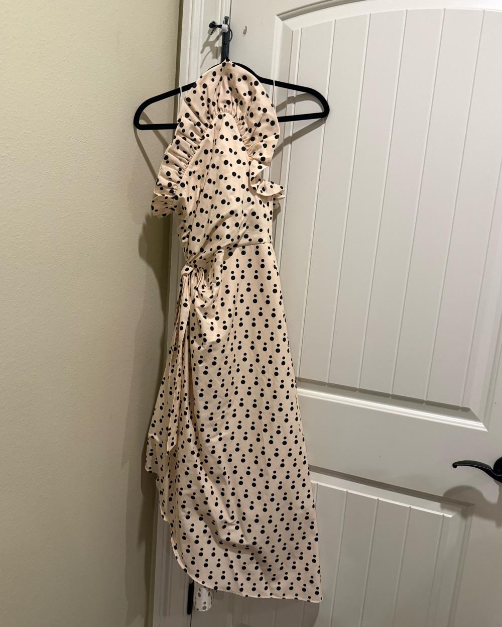 Charlotte polka dot dress — photo 3 of 3