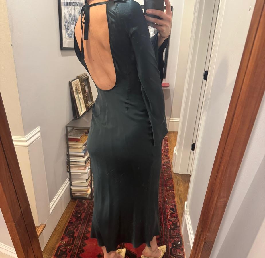 Stone cold fox silk dress — photo 3 of 4