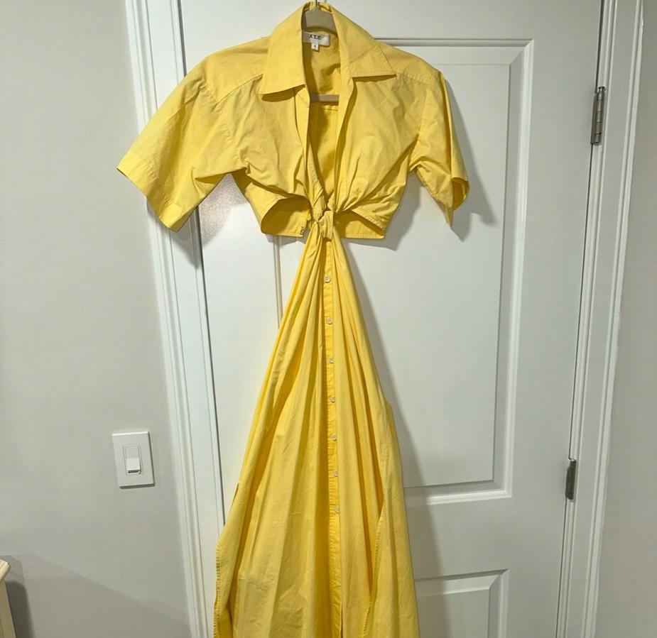 ALC Georgia Dress — photo 4 of 5