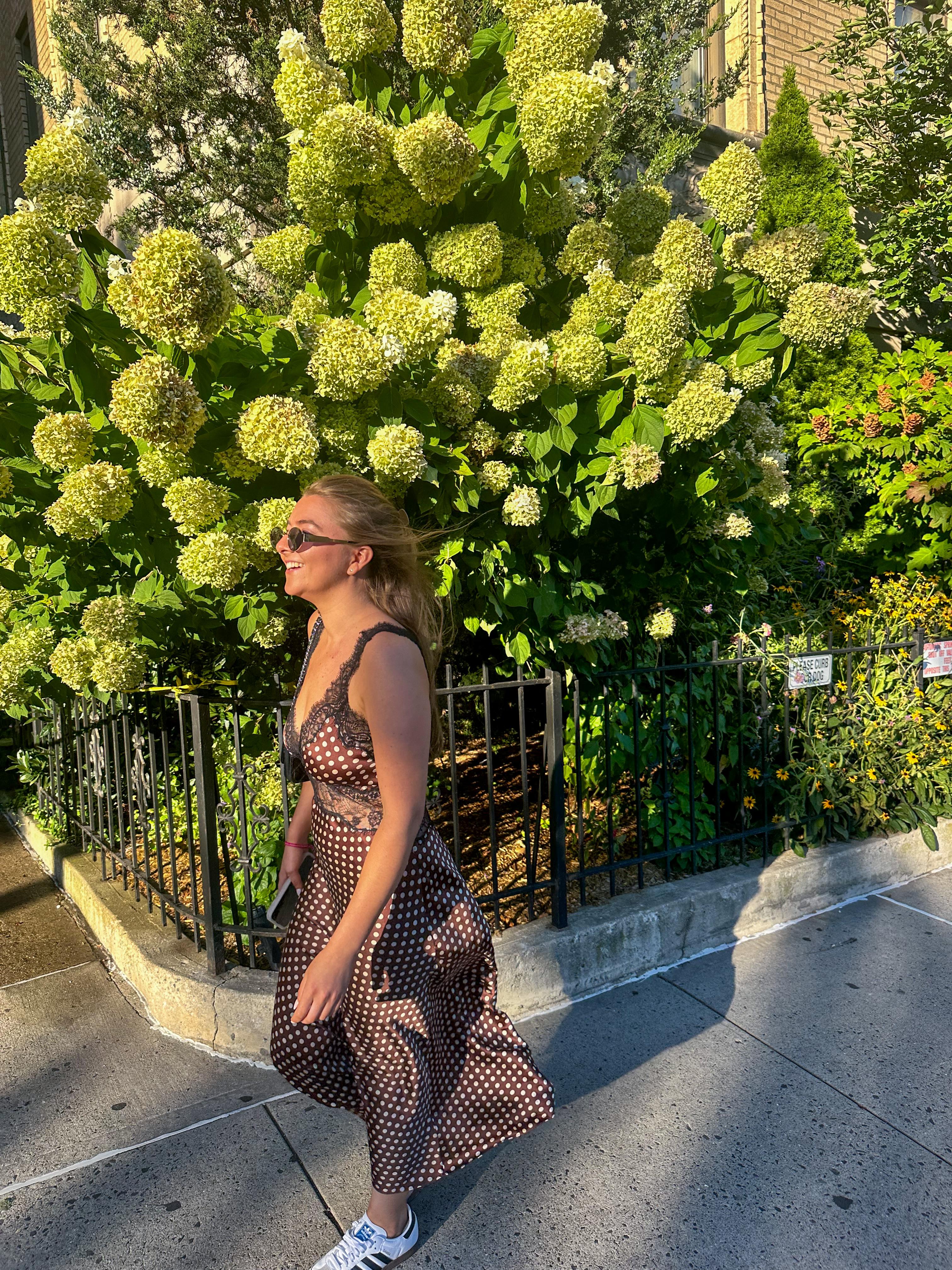 Ronny Kobo Holiday Polka Dot Lace Dress — photo 3 of 3