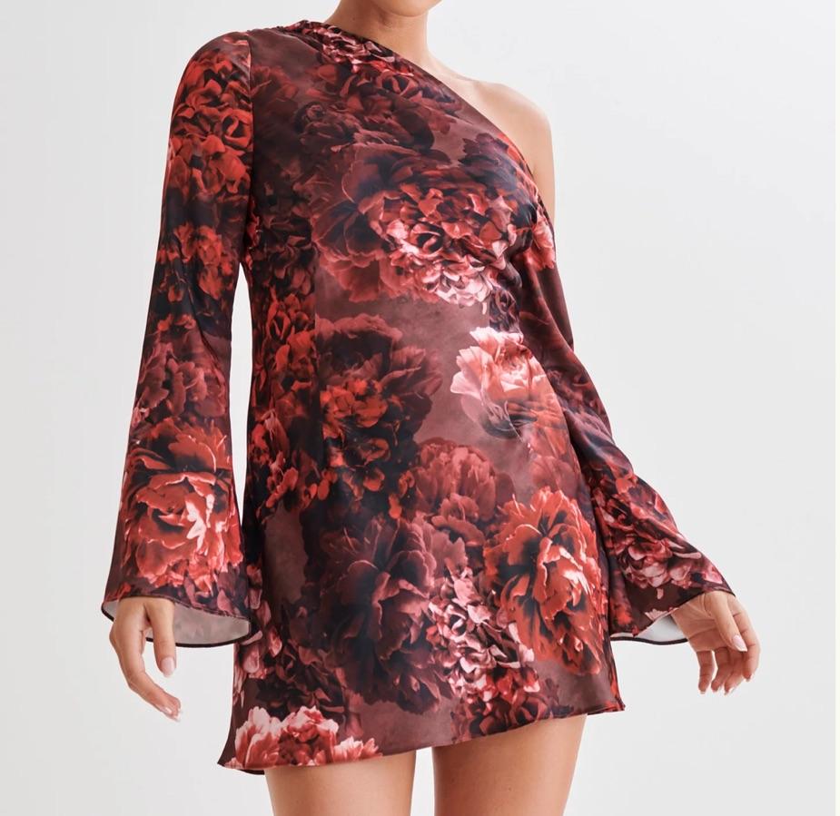 Long Sleeve Mini Dress -