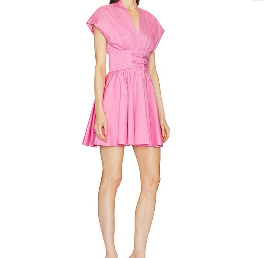 Pink Alexis Dress — photo 2 of 4