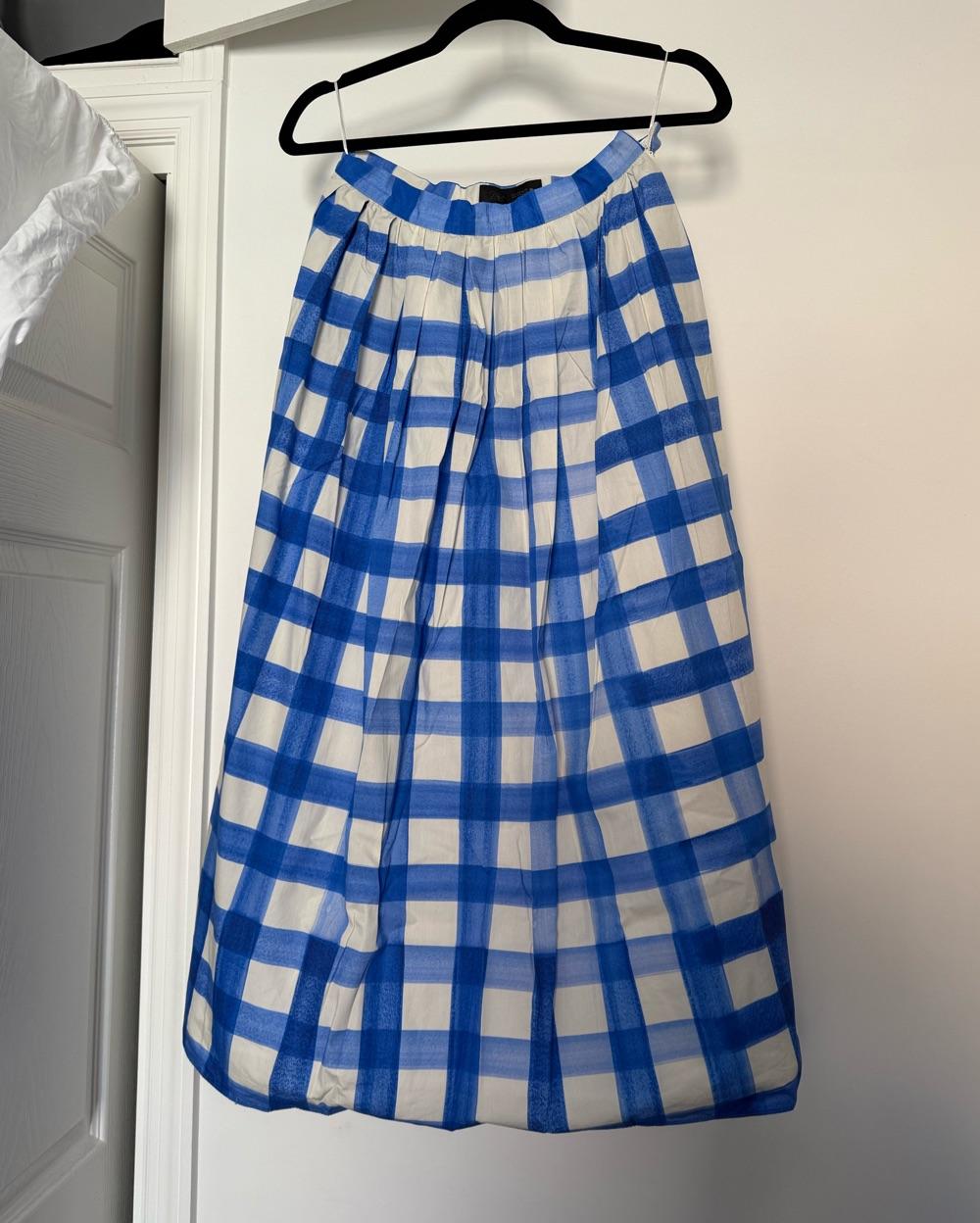 Zara Gingham Midi Skirt — photo 4 of 4