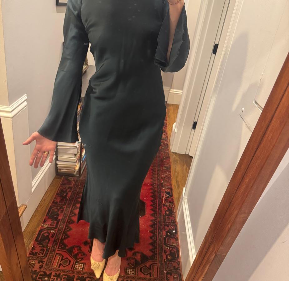 Stone cold fox silk dress — photo 4 of 4