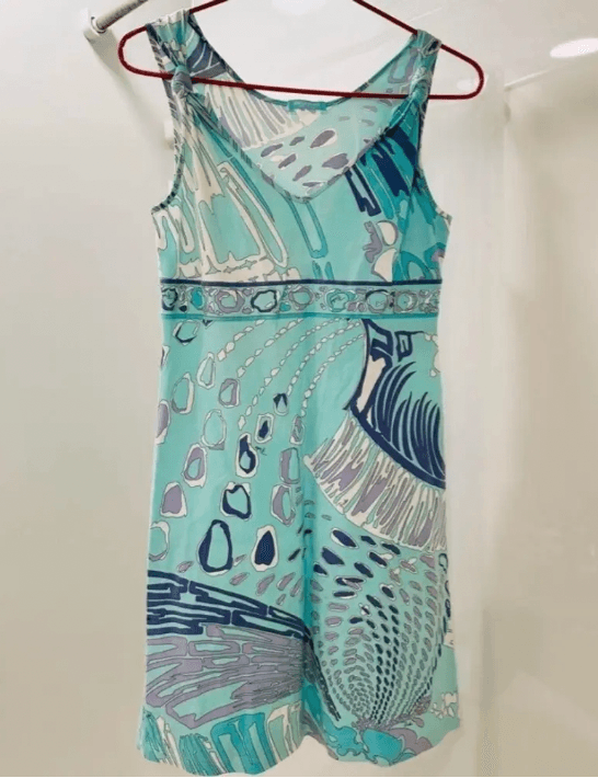 Emilio Pucci Dress — photo 2 of 2