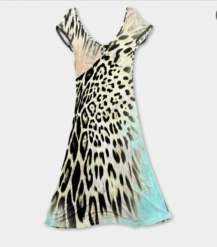 Roberto Cavalli Knit Dress