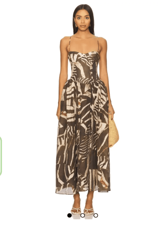 Bardot Estie Maxi Dress In Brown Animal