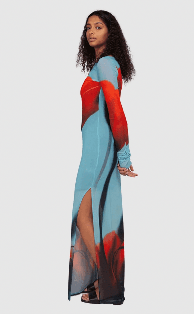 Rat & Boa Santino Long Sleeve Maxi Dress — photo 2 of 2
