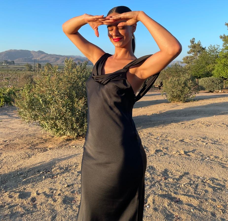 Fame and Partners Francois Dress