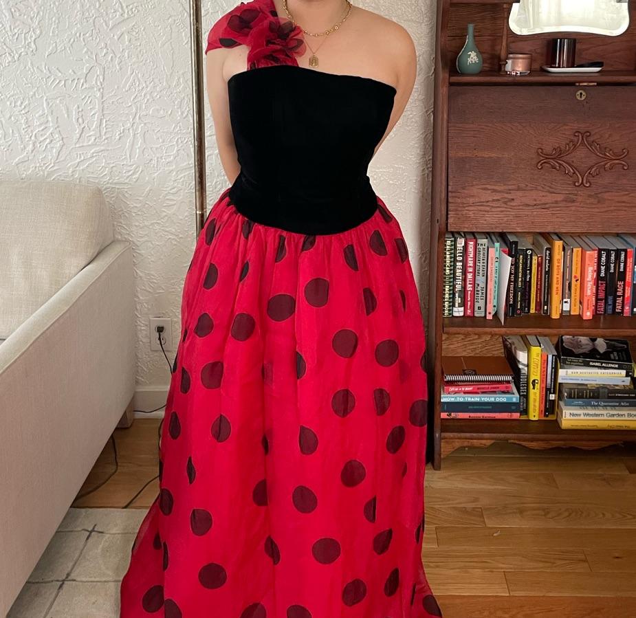 Vintage Polka Dot Gown — photo 3 of 4