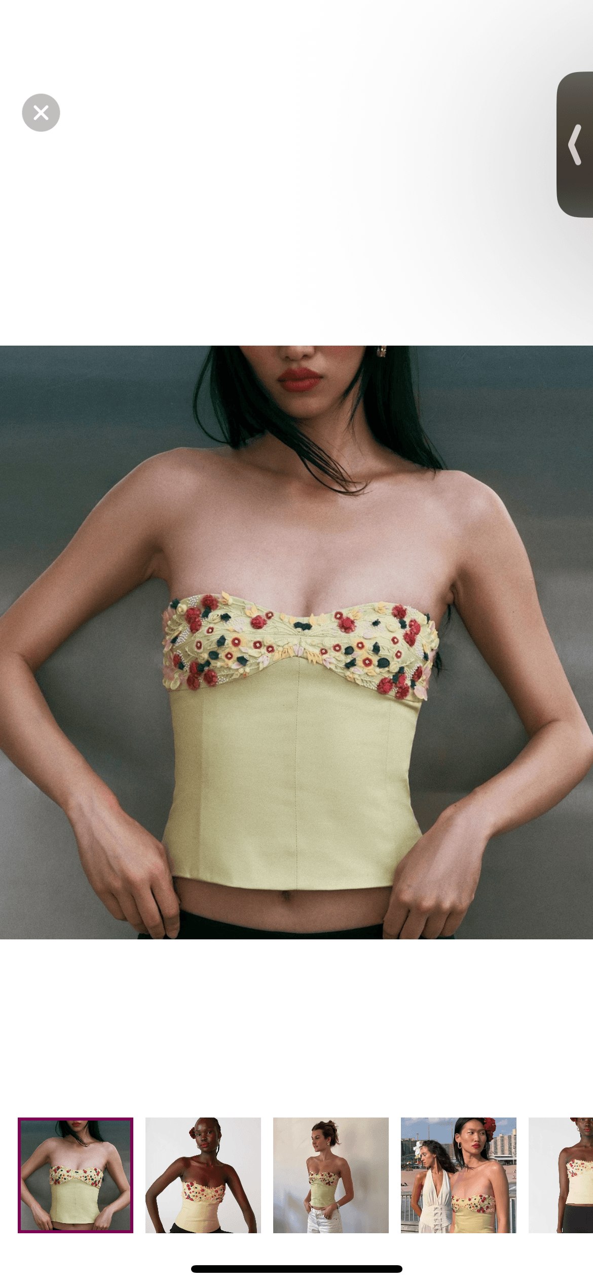 Orseund Iris Bouquet Bustier - 6