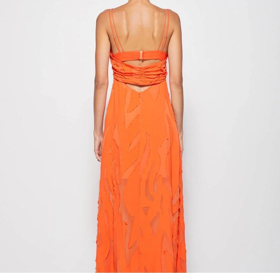 Scarlet Simkhai Maxi Dress — photo 3 of 5