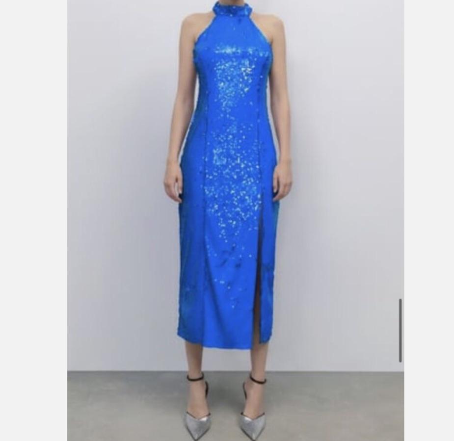 Zara Fitted Sequin Dress