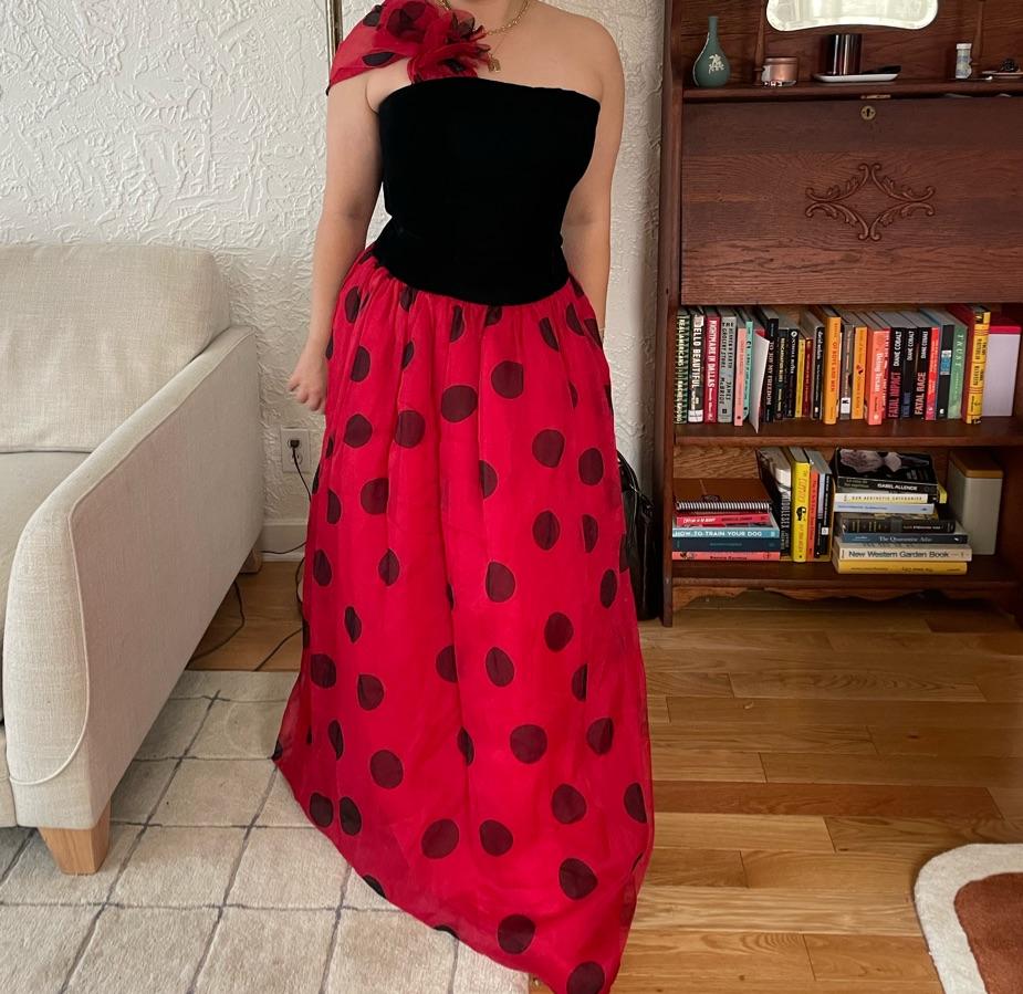 Vintage Polka Dot Gown — photo 2 of 4