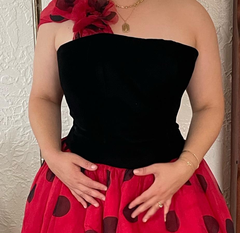 Vintage Polka Dot Gown — photo 4 of 4
