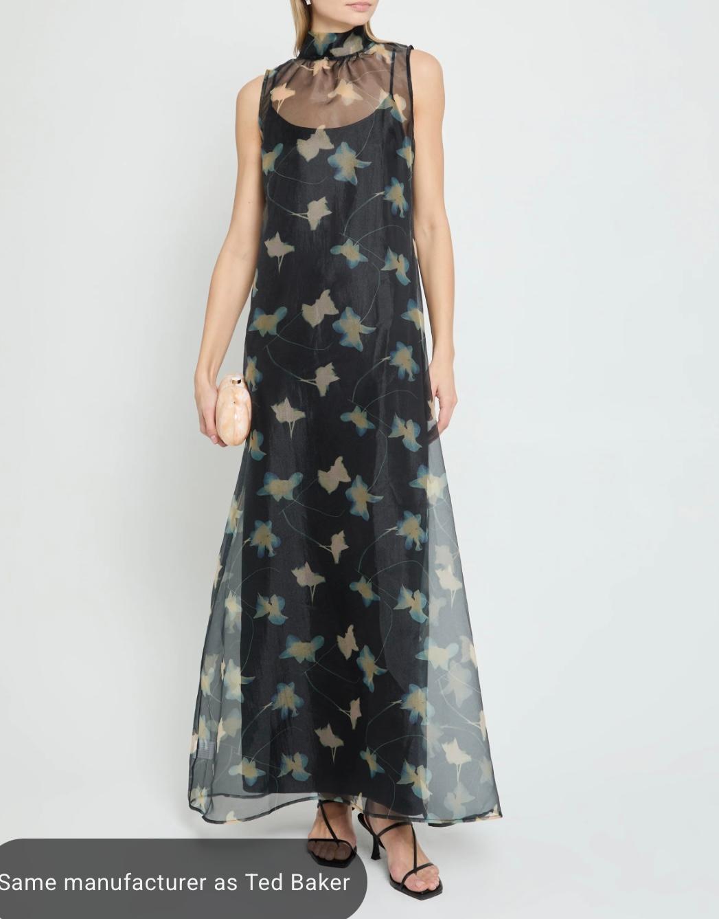 Sheer Floral Maxi Dress — photo 1 of 2