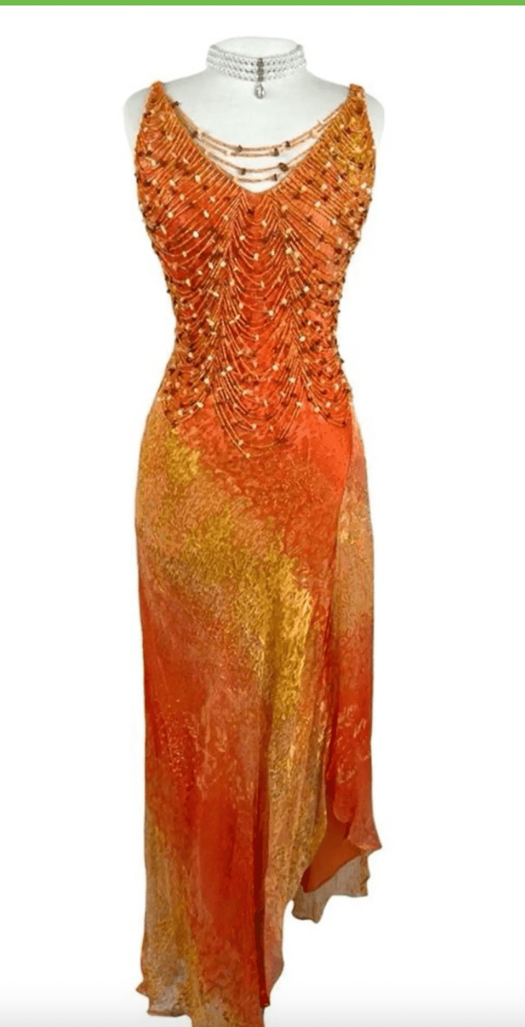 RARE Embellished Vintage Evening Dress