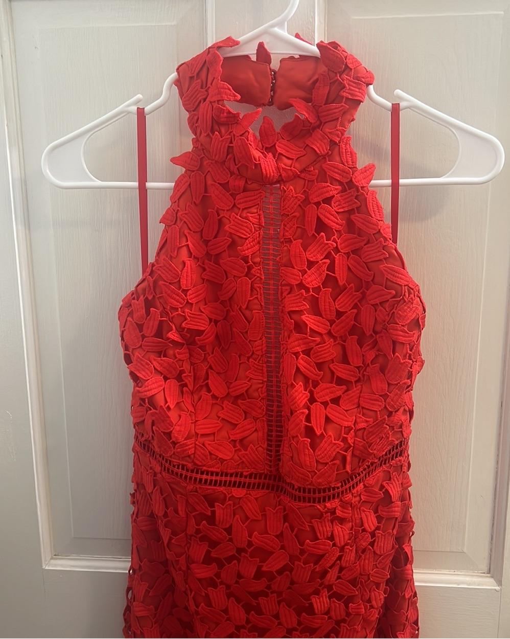 Bardot Gemma Halter Dress — photo 3 of 4